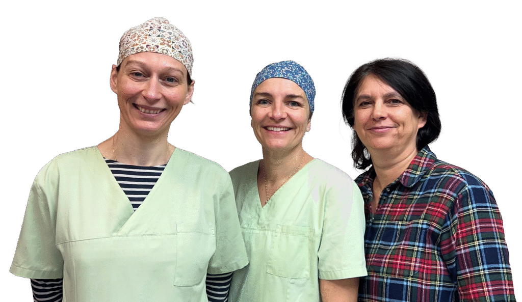 Photo de l'équipe du cabinet O'splint